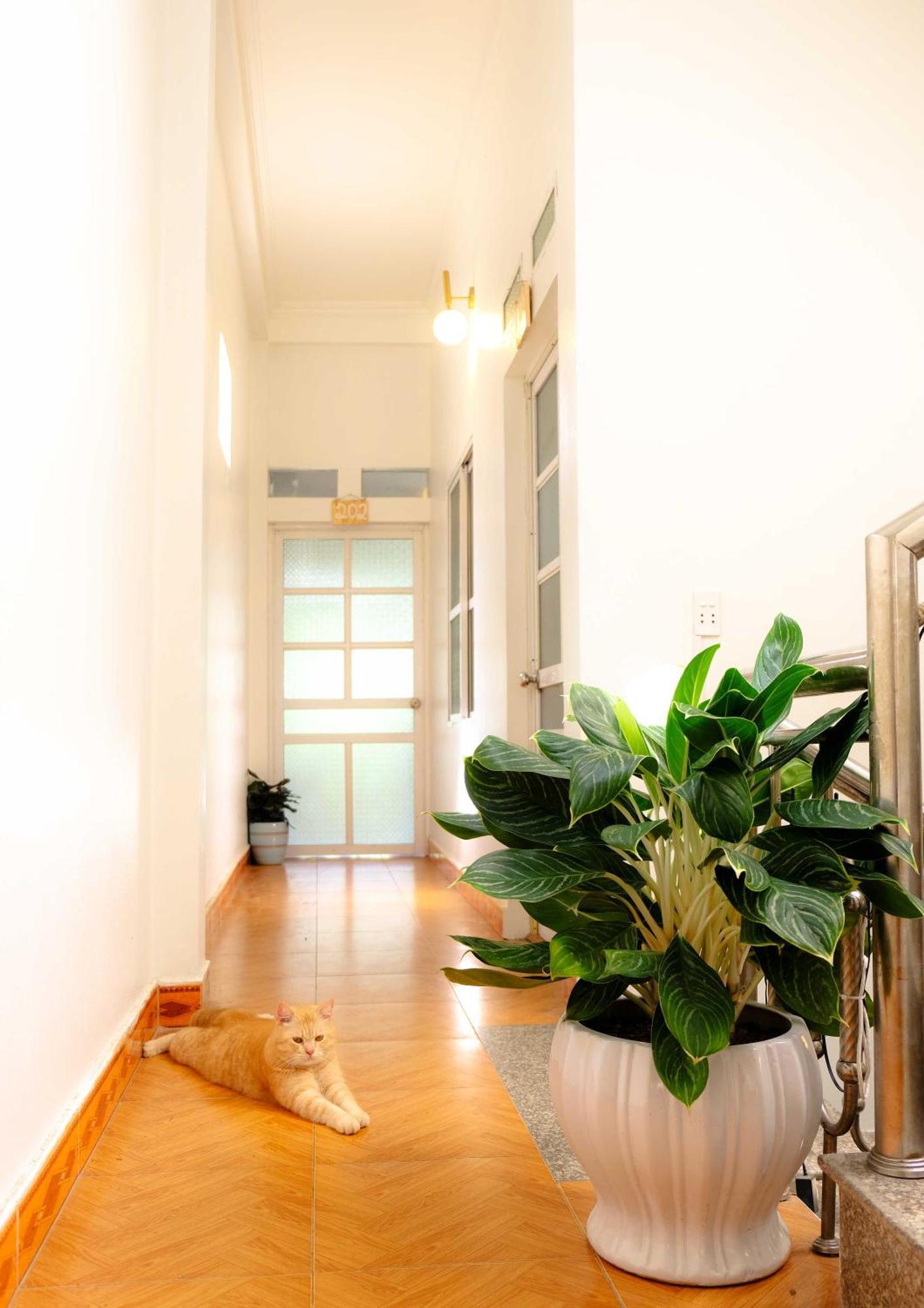 Lazy Cat Homestay - Motorbikes Rental & Tours Ha Giang Luaran gambar