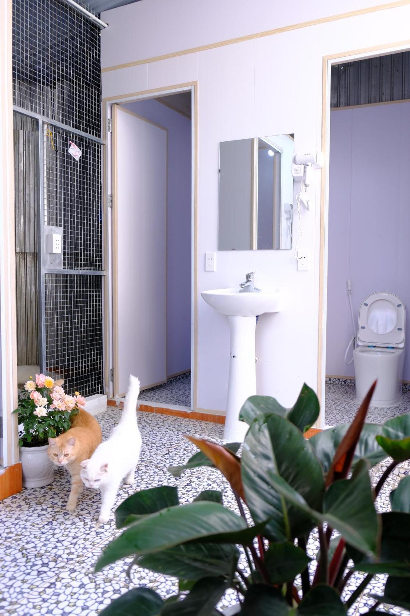 Lazy Cat Homestay - Motorbikes Rental & Tours Ha Giang Luaran gambar